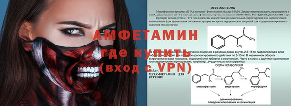 крисы Пересвет