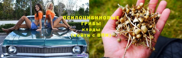марки lsd Пестово