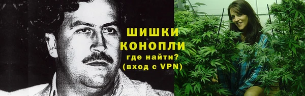 крисы Пересвет