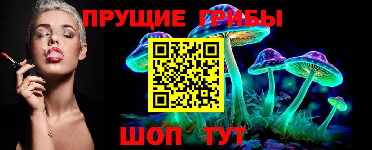 Псилоцибиновые грибы прущие грибы Сланцы